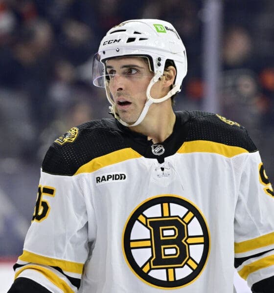 Bruins Place Pair Of Veteran Forwards On Waivers