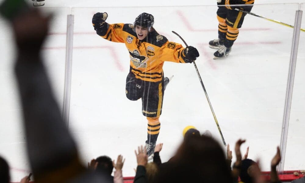Bruins Prospect Will Zellers Named USHL Player of the Year