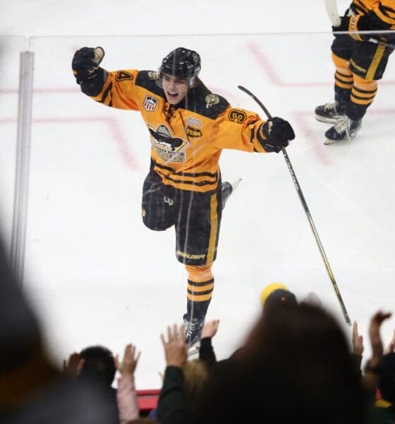 Bruins Prospect Will Zellers Named USHL Player of the Year