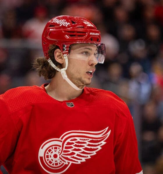 Red Wings Dominate Capitals in Weekend Sweep, Boosting Playoff Hopes