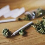 Rare Flavoalkaloids Discovered in Cannabis Leaves Transform Research Landscape