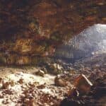 Man Discovers Decade-Long Wildlife Footage After Leaving Camera in Cave