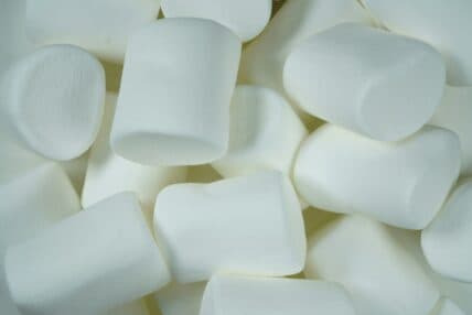 New Insights on the Marshmallow Test Transform Our Understanding of Self-Control