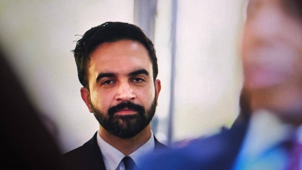 Zohran Mamdani Transitions from Disney Extra to New NYC Mayor Role