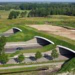 North America's Largest Wildlife Overpass Opens, Transforming Colorado's Landscape