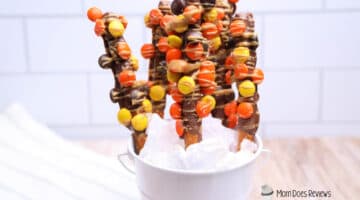 Easy Reese's Chocolate Peanut Butter Pretzel Rods Recipe (Sweet &amp; Salty