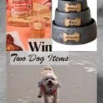 Spoil Your Pup with These Must-Have Gifts for Dog Lovers Everywhere