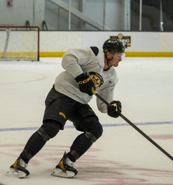 Bruins Add Tufte and Blumel to Roster Following Key Player Injuries
