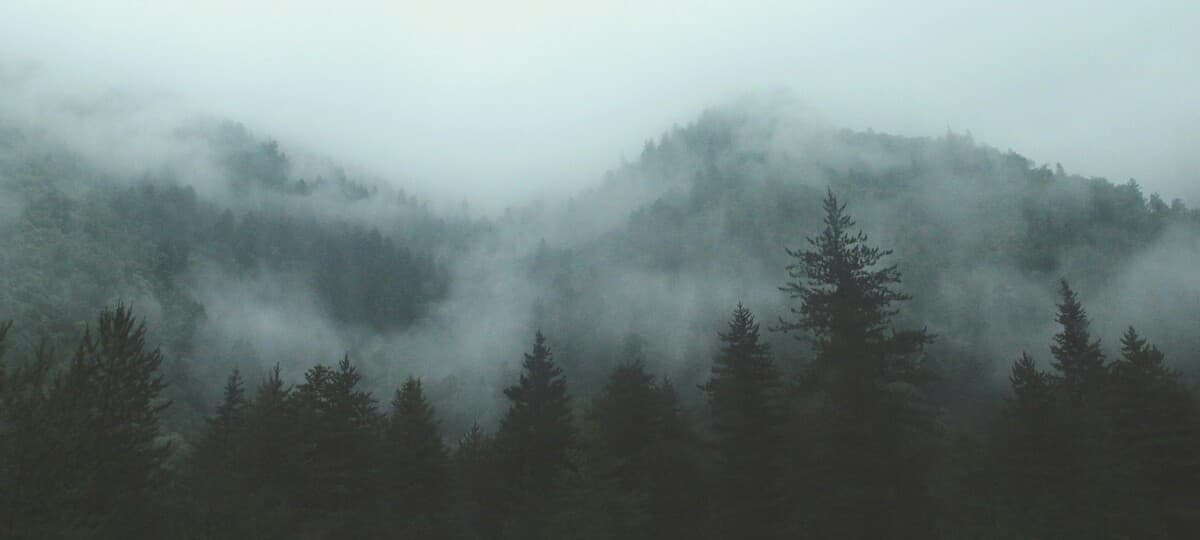 The Fog of War Reveals Complexities of Modern Conflict and Its Impact