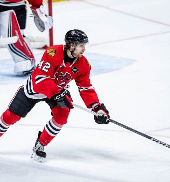 IceHogs Extend Losing Streak as Maple Mustard Gains Attention in Chicago