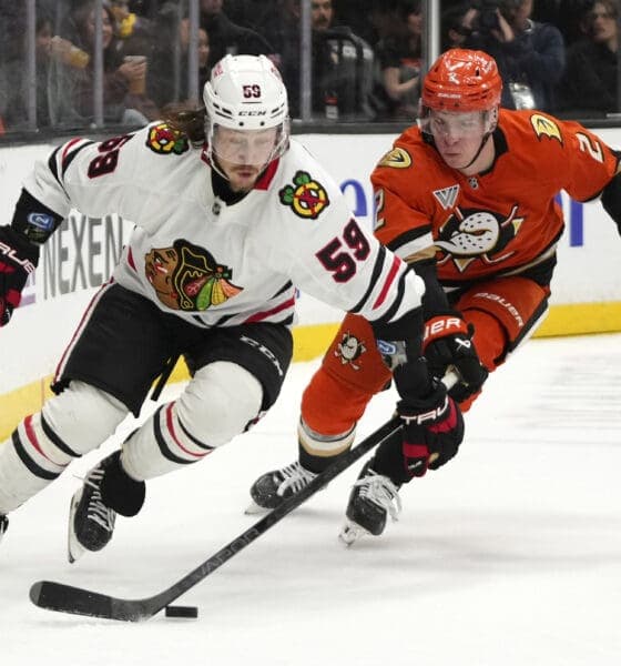 Blackhawks Face Ducks in Crucial Game 29 as Bedard Shines Bright