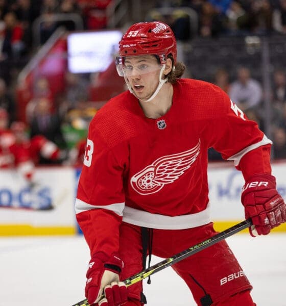 Red Wings Gain Confidence After Win Over Bruins Ahead of Road Trip