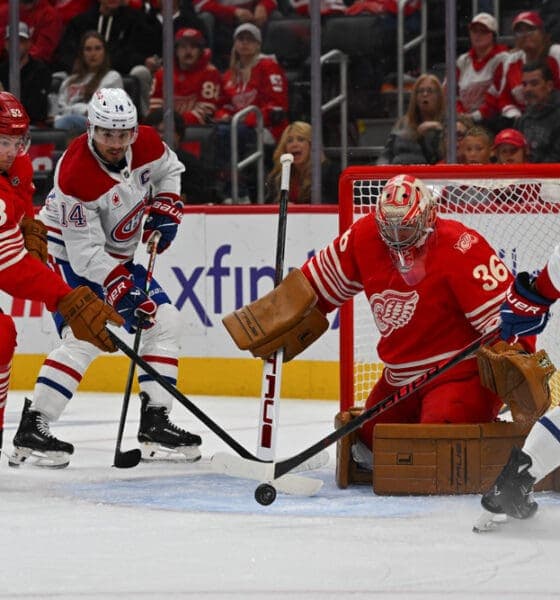 Gibson's Resurgence Powers Red Wings as Team Eyes Playoff Push