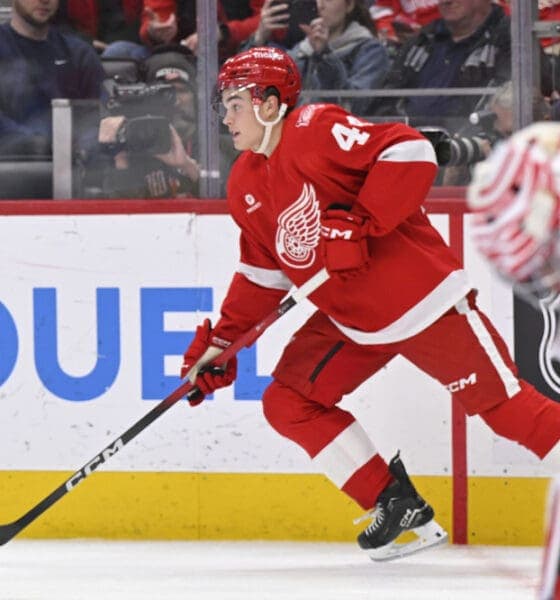 Red Wings Sandin Pellikka Delivers Strong Performance in Recent Match