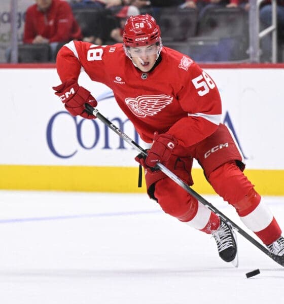 Red Wings Young Stars Shine Bright and Signal Future Success