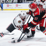 Red Wings Explore Talents in Grand Rapids as McAvoy Undergoes Surgery