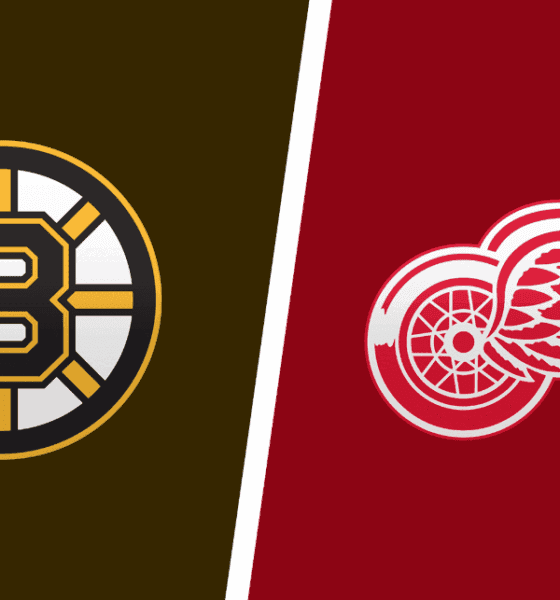 Red Wings Face Bruins in Key Matchup with Playoff Implications
