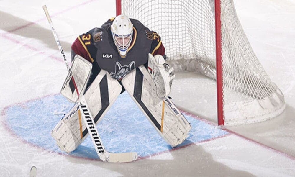 Griffins Cut Goalie Dustin Tokarski From Tryout Contract, What's Next?