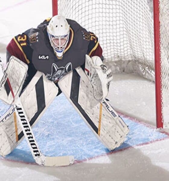 Griffins Cut Goalie Dustin Tokarski From Tryout Contract, What's Next?