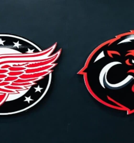 Red Wings Face Mammoth Challenge as Playoff Hopes Hang in Balance