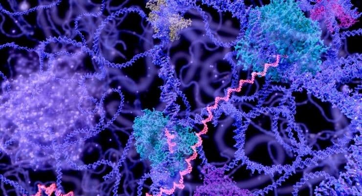 mRNA Technology Breakthrough Offers New Hope for Cancer Patients