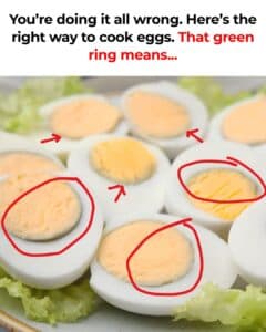 Uncovering the Mystery of Green Rings in Hard-Boiled Eggs and What It Means