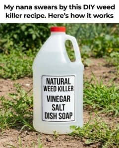 Discover the Best Natural Weed Killer for Safe Home Gardening