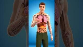 Seven Days Without Sugar Transforms Your Body and Health Expectations