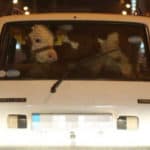 Unbelievable Sightings: Drivers Share the Wildest Things They've Seen