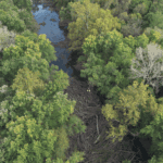 Overdue Kansas Deer Hunter Rescued from River Log Jam, Community Relieved