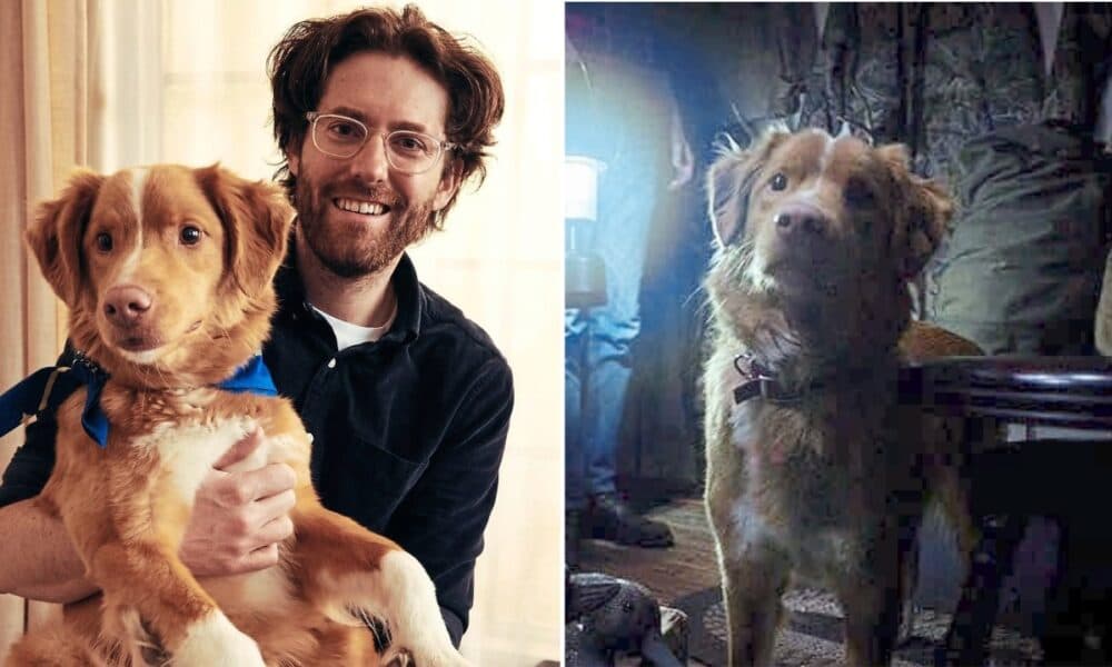 Indy the Nova Scotia Duck Tolling Retriever Takes Center Stage in New Horror Film