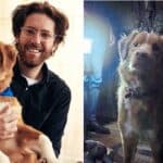 Indy the Nova Scotia Duck Tolling Retriever Takes Center Stage in New Horror Film