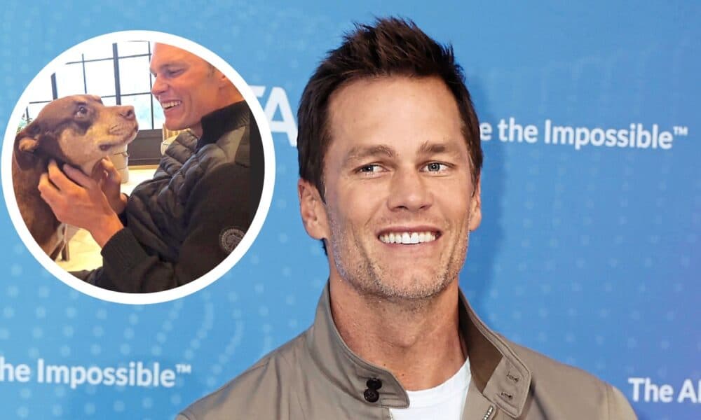 Tom Brady's Decision to Clone Pets Joins Trend Among Celebrities
