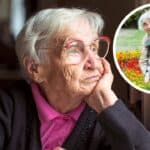 Ways to Combat Loneliness: Volunteering and Adopting Animals Matter