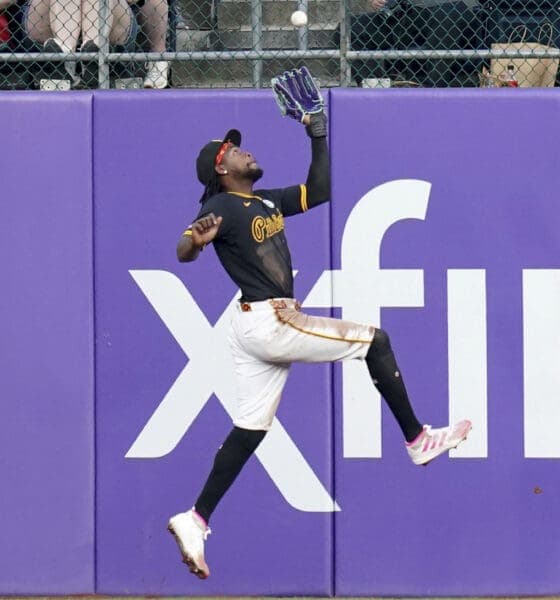 Pirates Secure Future by Tendering Contracts to Five Key Players