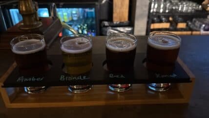 Brunicke Update and Penguins Sale Signal Big Changes in NHL Landscape