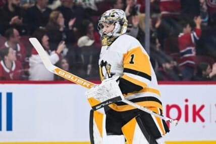 Penguins Make Roster Moves, Recall Murashov and Place Jarry on IR