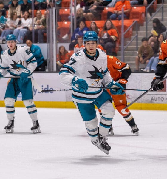 Misa Begins AHL Conditioning Loan with Barracuda to Boost Development