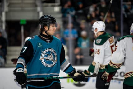 Misa's Impressive AHL Debut Signals Bright Future for Sharks Fans