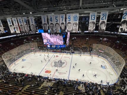 Wennberg's Overtime Goal Leads Sharks to Stunning Win Over Maple Leafs