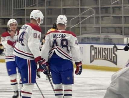 Filip Mesar Ranked 20th Among Canadiens Prospects Sparks Excitement