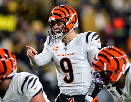 Steelers Take AFC North Lead Following Ravens Defeat to Bengals