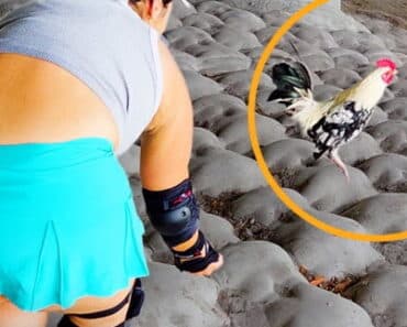 Couple Rescues Baby Rooster, Sparking Community Engagement on Animal Welfare