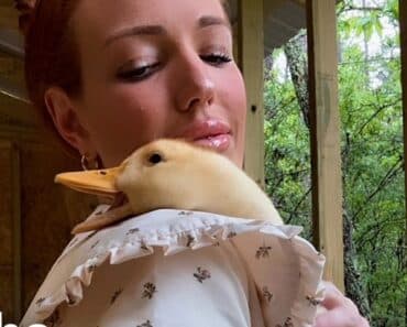 Little Duckling's Heartfelt Quacks Keep Mom Close in Adorable Moment