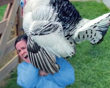 Thanksgiving Kitchen Disasters That Will Leave You Cringing This Year