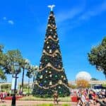 Disney World Bus Collision Raises Safety Concerns for Visitors and Staff