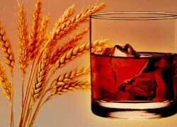 Wheat Whiskey Gains Momentum as Distillers Embrace New Trends