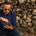 Piccini Wines Elevate Your Feast of the Seven Fishes Experience