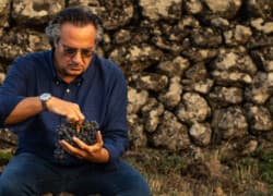 Piccini Wines Elevate Your Feast of the Seven Fishes Experience