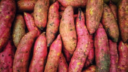 Discover the 5 Surprising Health Benefits of Sweet Potatoes Today